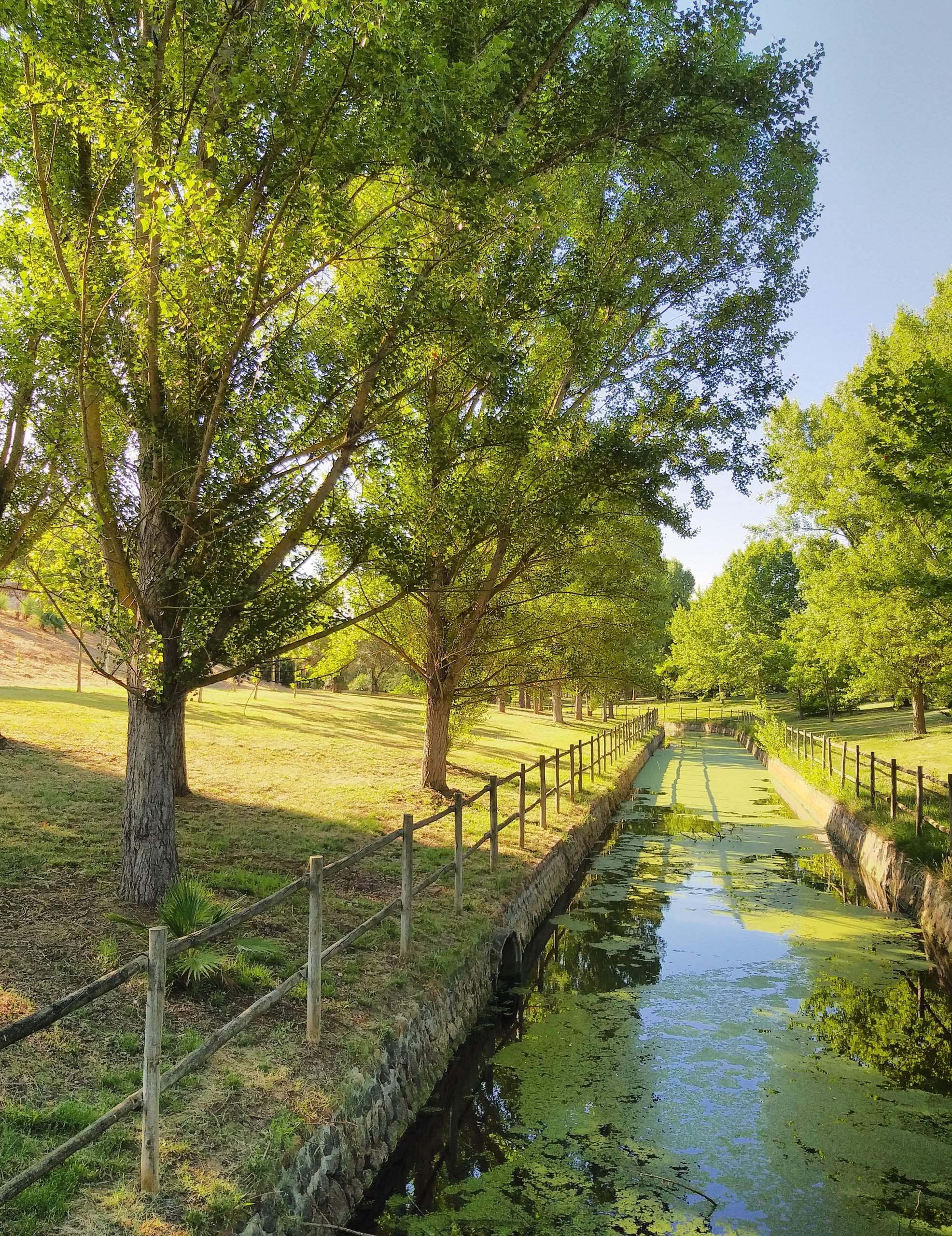 Mérida Isla Canal